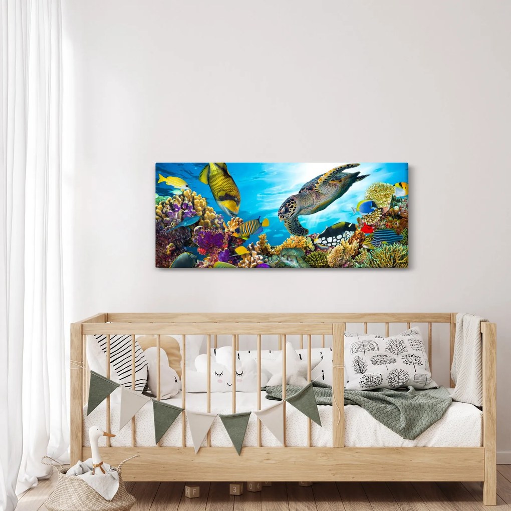 Obraz koralového útesu (120x50 cm)