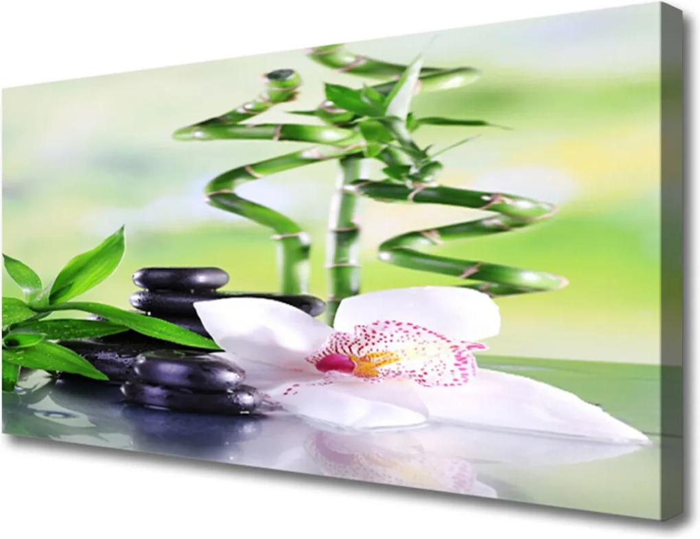 Obraz Canvas Orchidea Bambus Zen Kúpele