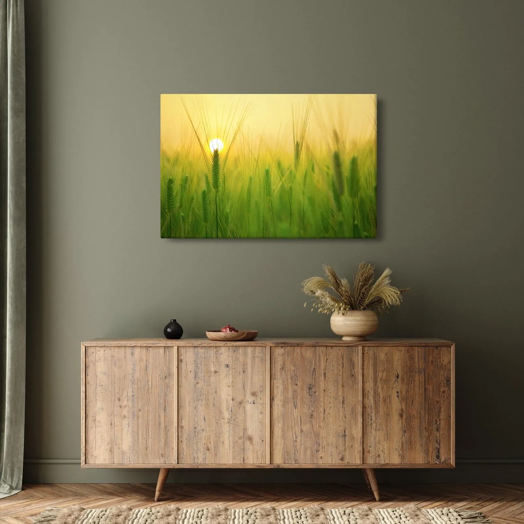 Obraz - Pole s obilím (90x60 cm)