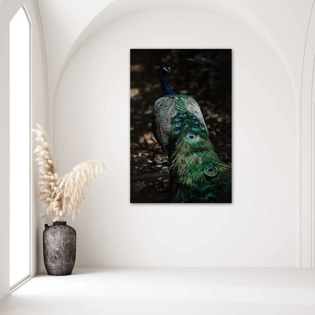 Gario Plagát Páví chvost Farba rámu: Bez rámu, Rozmery: 40 x 60 cm