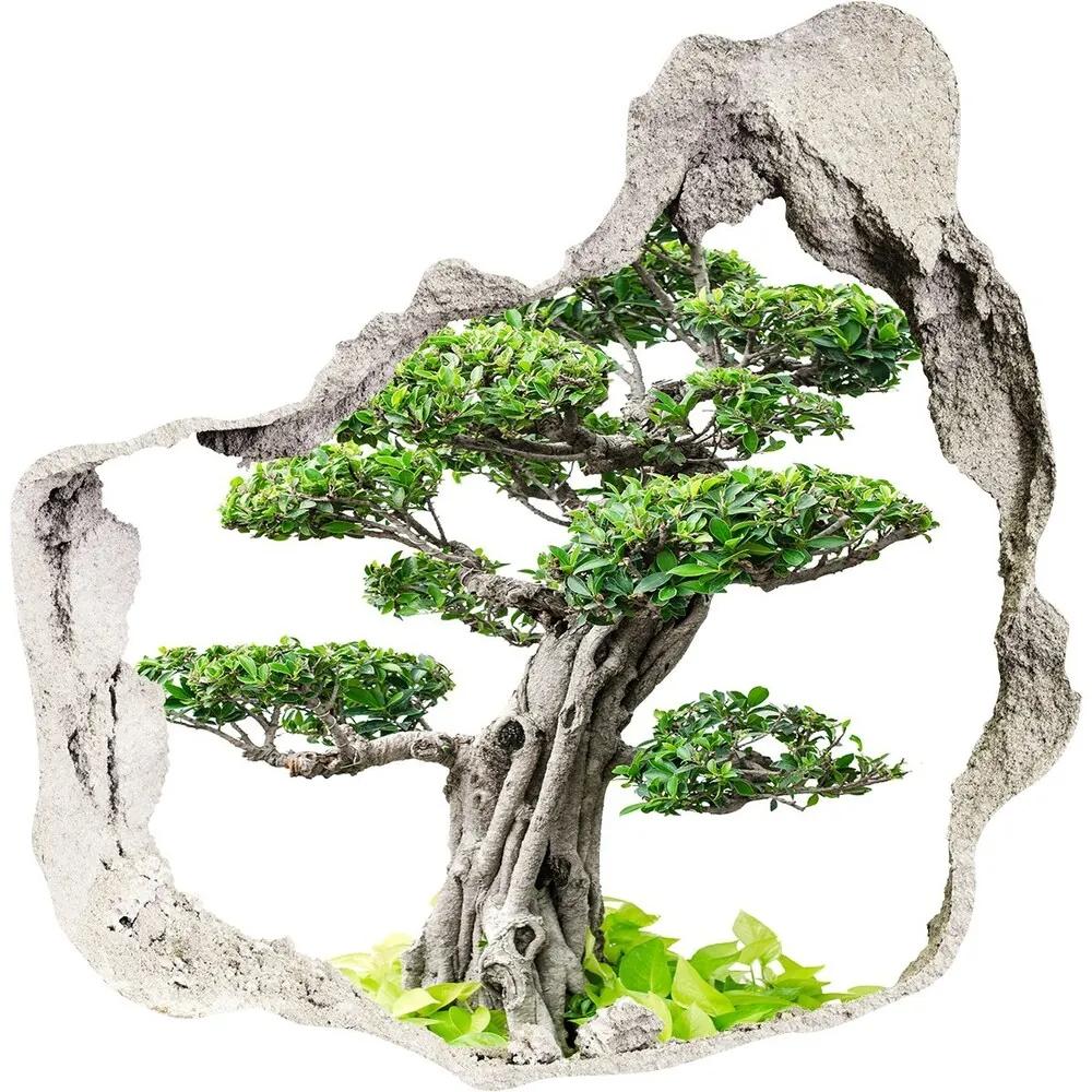 Diera 3D fototapety nálepka Bonsai strom nd-p-88907159