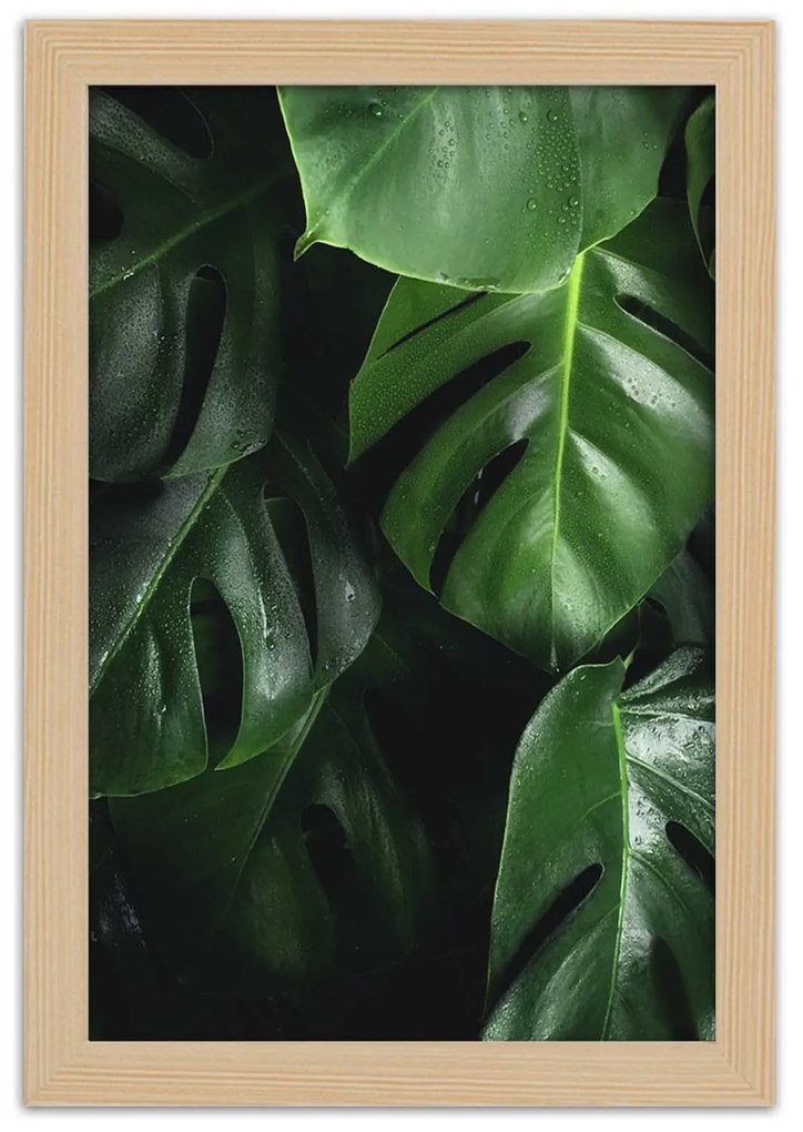 Gario Plagát Módne listy monstery Farba rámu: Čierna, Rozmery: 70 x 100 cm