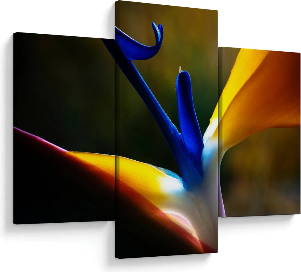 Obraz - Exotický kvet (90x60 cm)