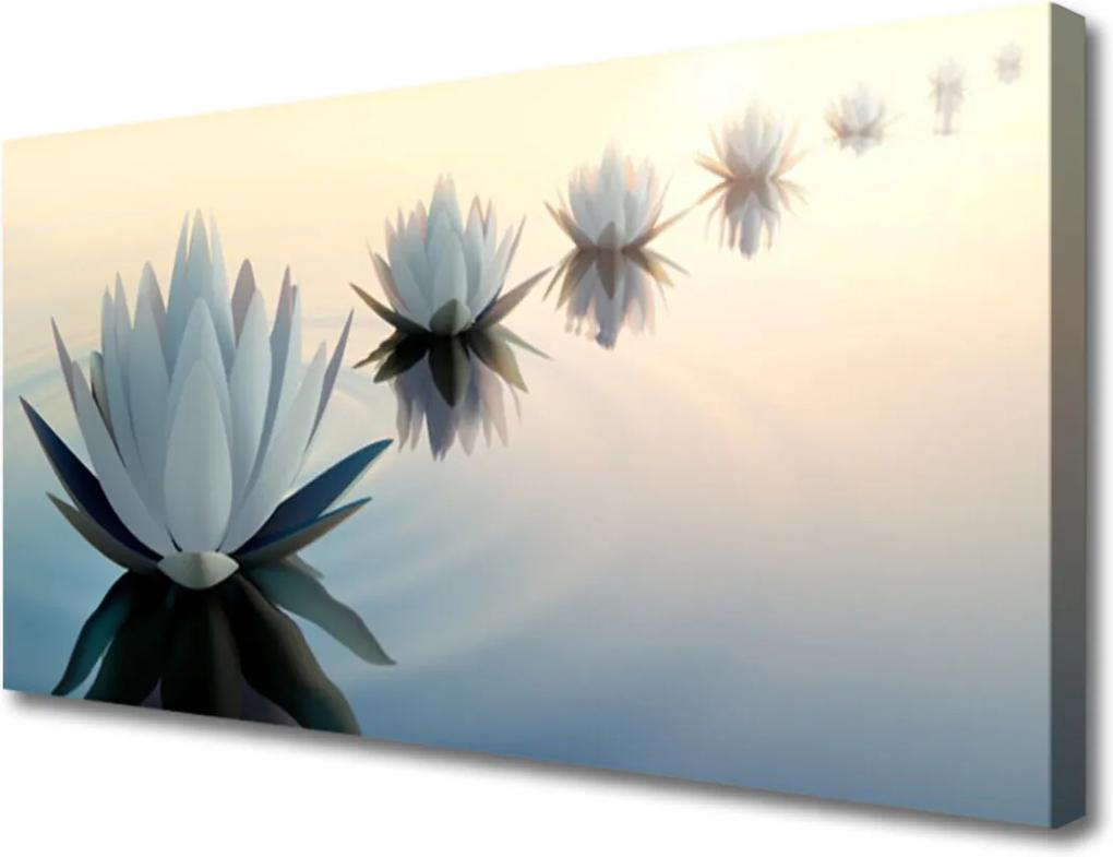 Obraz Canvas Vodní lilie bílý leknín