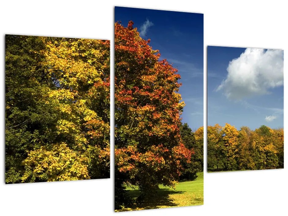 Jesenná krajina, obraz