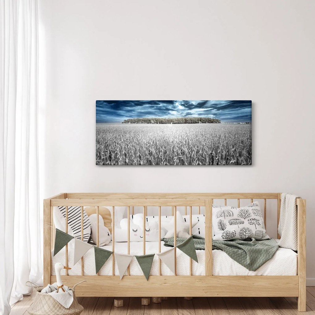 Obraz pole (120x50 cm)