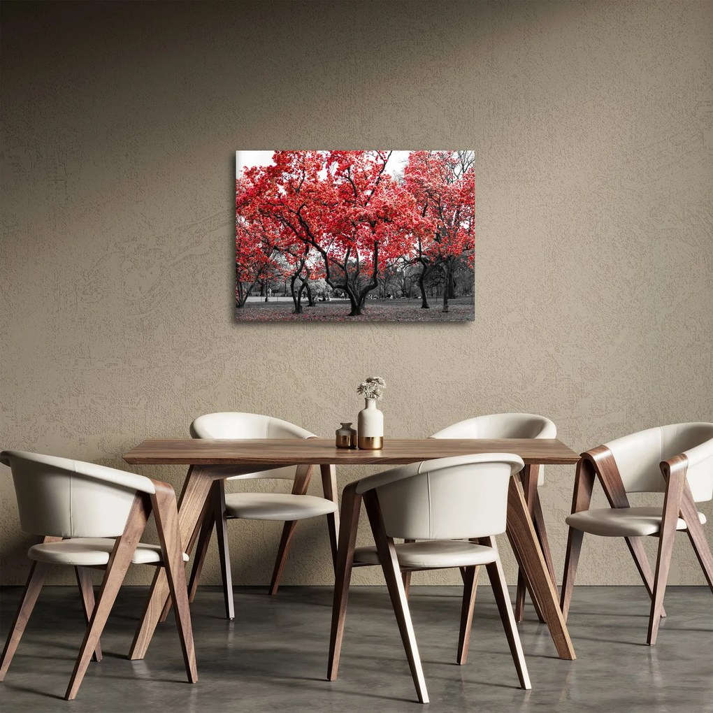 Obraz - Červené stromy, Central Park, New York (70x50 cm)