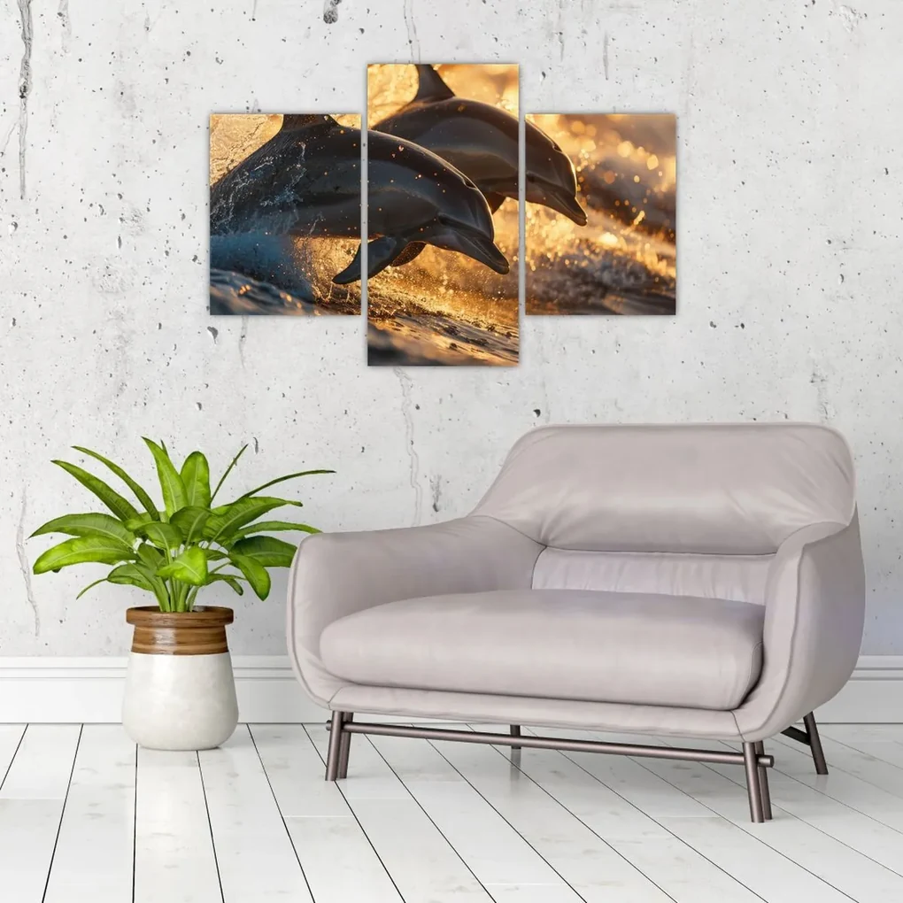 Obraz - Delfíny (90x60 cm)