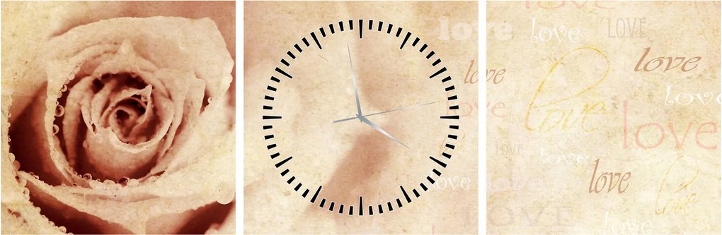Obraz - Kvet ruže pre zaľúbených (s hodinami) (90x30 cm)