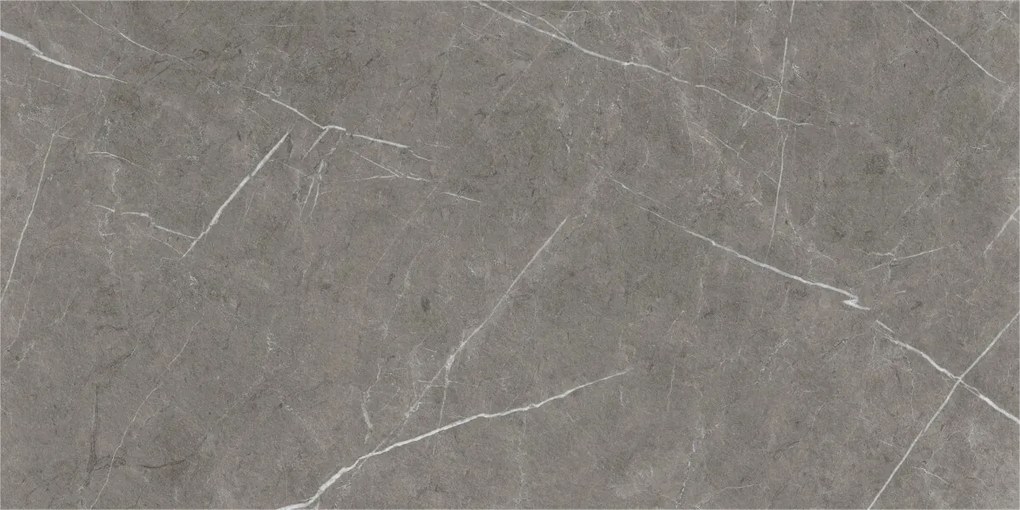 Dlažba Eternal Dark Natural 60x120 R