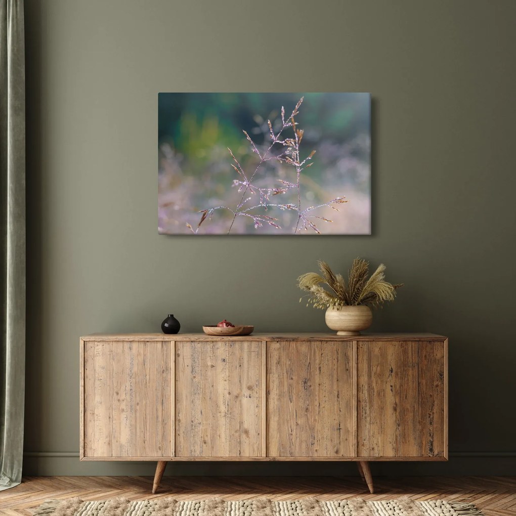Obraz - Detail traviny (90x60 cm)