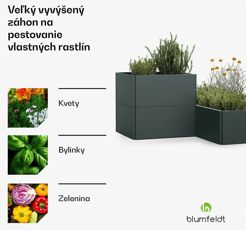 Blumfeldt Versagrow vyvýšený záhon s 12 modulmi, individuálny tvar, hrúbka 1 mm, nehrdzavejúca oceľ