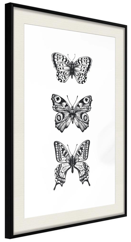 Artgeist Plagát - Three Butterflies [Poster] Veľkosť: 20x30, Verzia: Zlatý rám