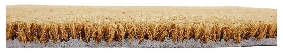 Rohožka z prírodného kokosového vlákna Artsy Doormats Dachshund, 40 x 60 cm