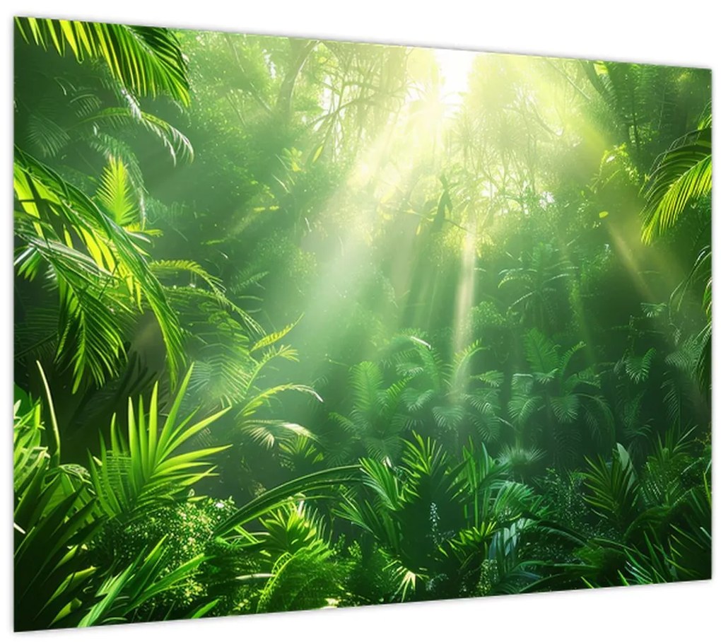 Obraz - Dažďový prales (70x50 cm)