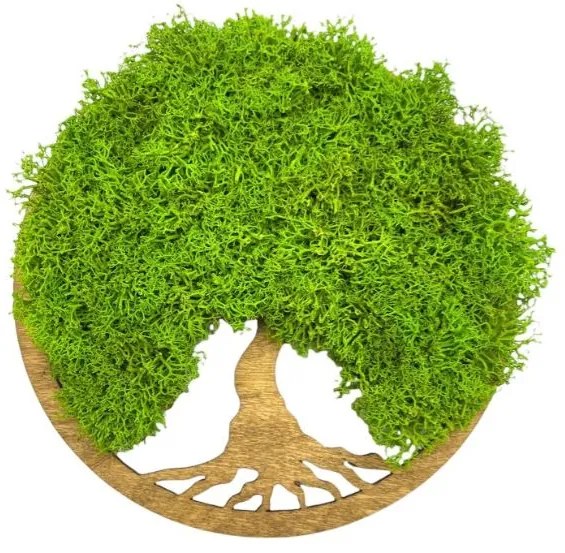 Strom na stenu z machu Bell 20 cm