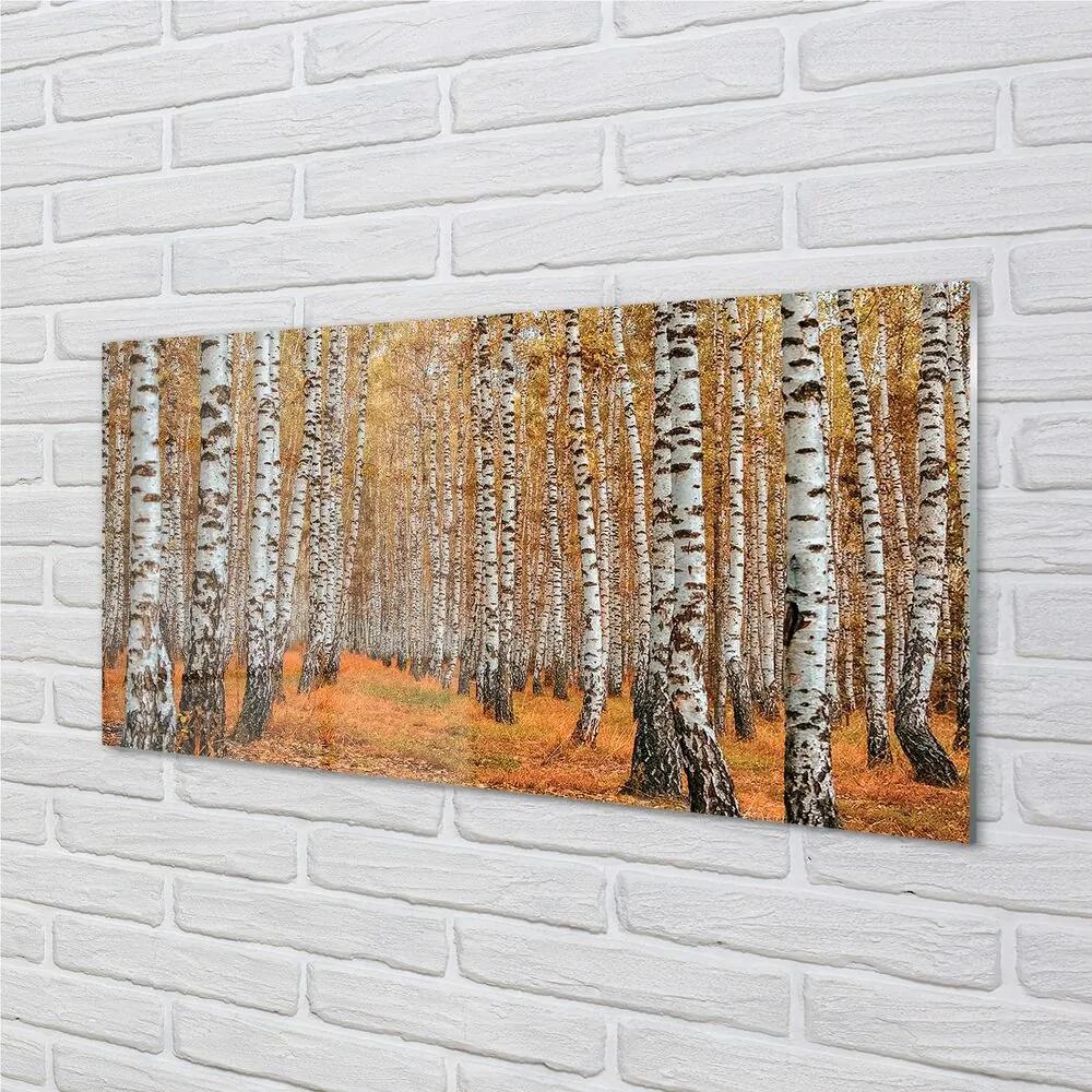 Sklenený obraz jesenné stromy 140x70 cm