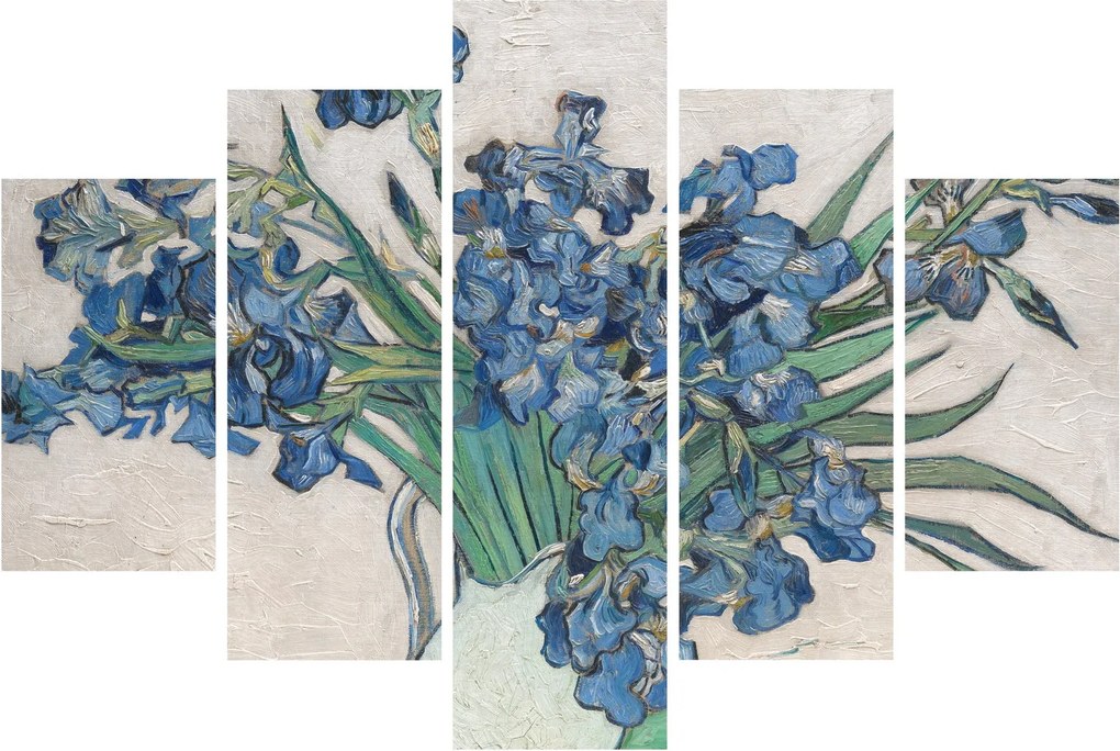 Obraz - Vincent van Gogh, Irises, reprodukcia (150x105 cm)