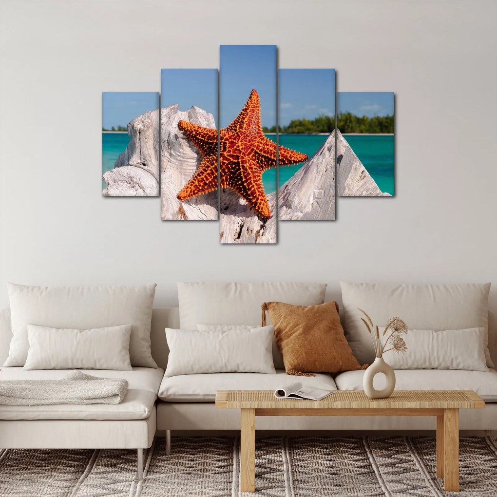 Obraz morskej hviezdice (150x105 cm)