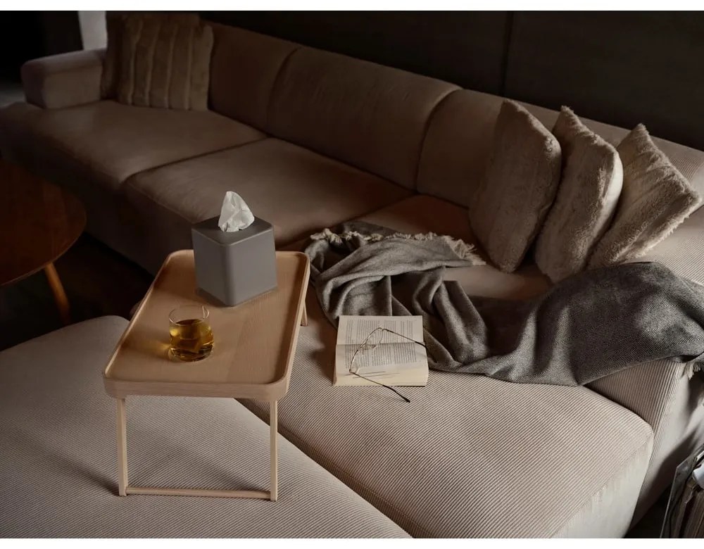 Plastový box na vreckovky Ume – Zone