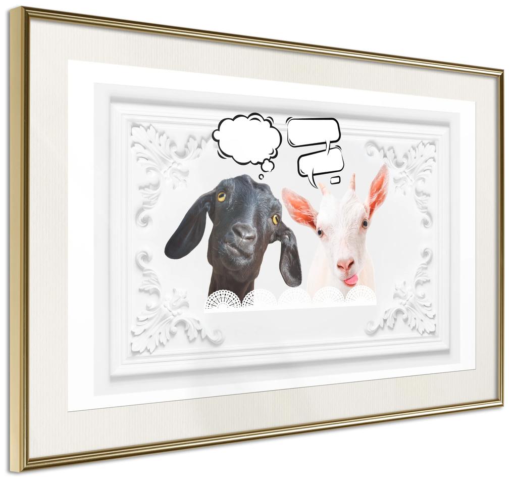 Artgeist Plagát - Funny Goats [Poster] Veľkosť: 45x30, Verzia: Zlatý rám s passe-partout