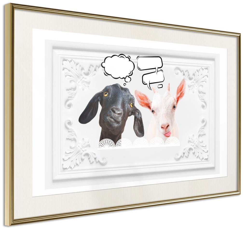 Artgeist Plagát - Funny Goats [Poster] Veľkosť: 60x40, Verzia: Čierny rám s passe-partout