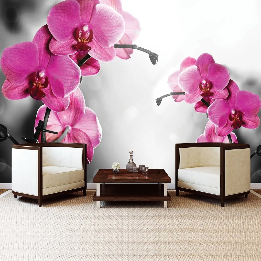 Fototapeta - Orchidey (152,5x104 cm)