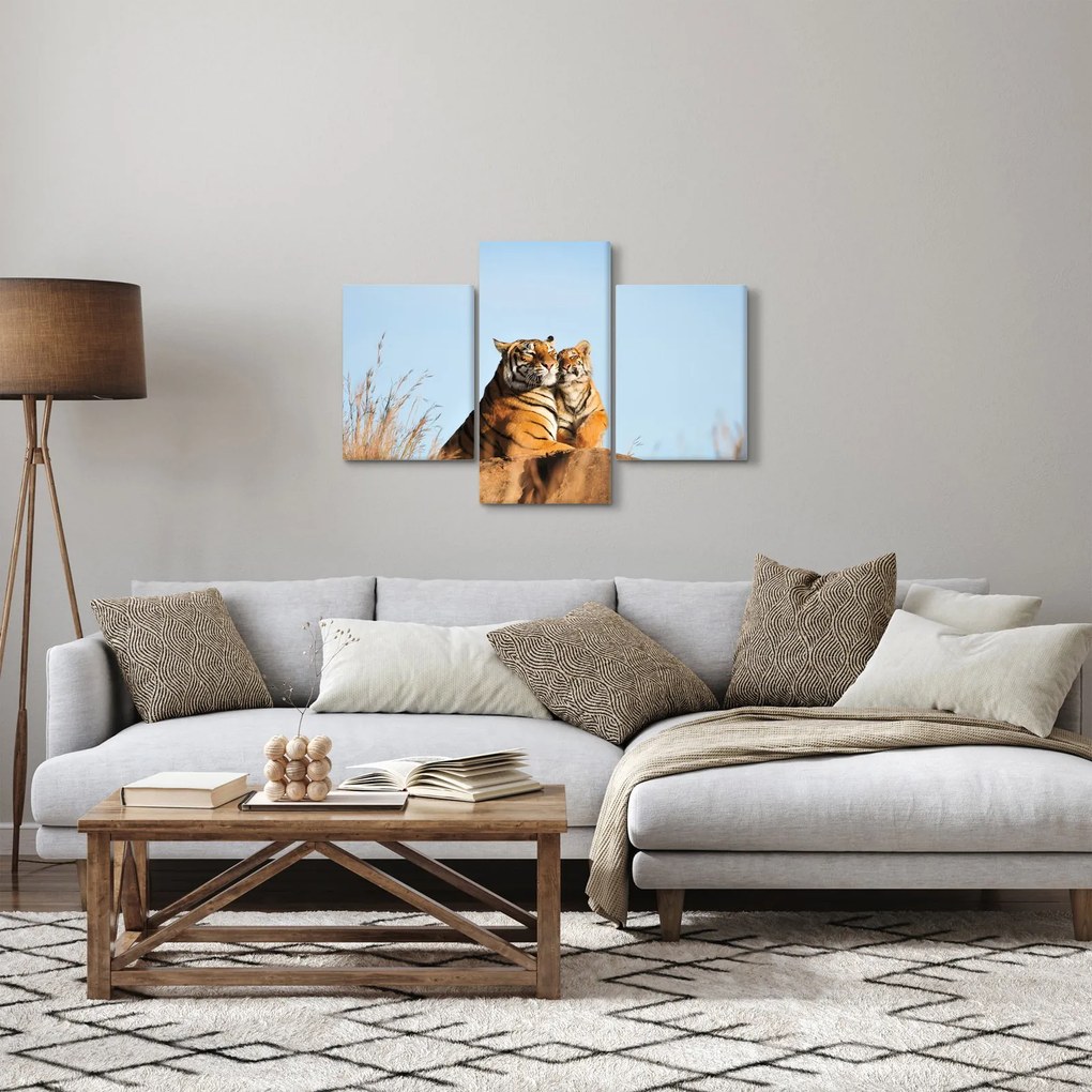 Obraz - Tigrice a jej mláďa (90x60 cm)