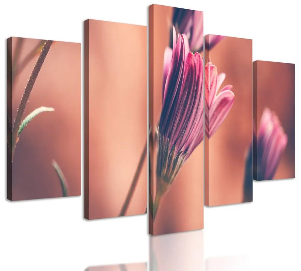5-dielny obraz krásne ružové puky