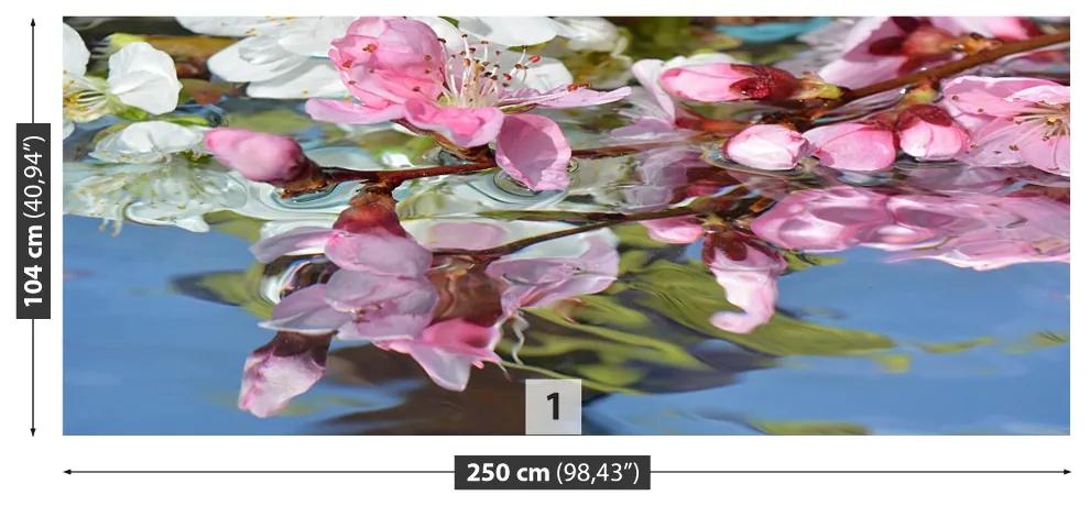 Fototapeta Vliesová Čerešňový kvet vody 152x104 cm