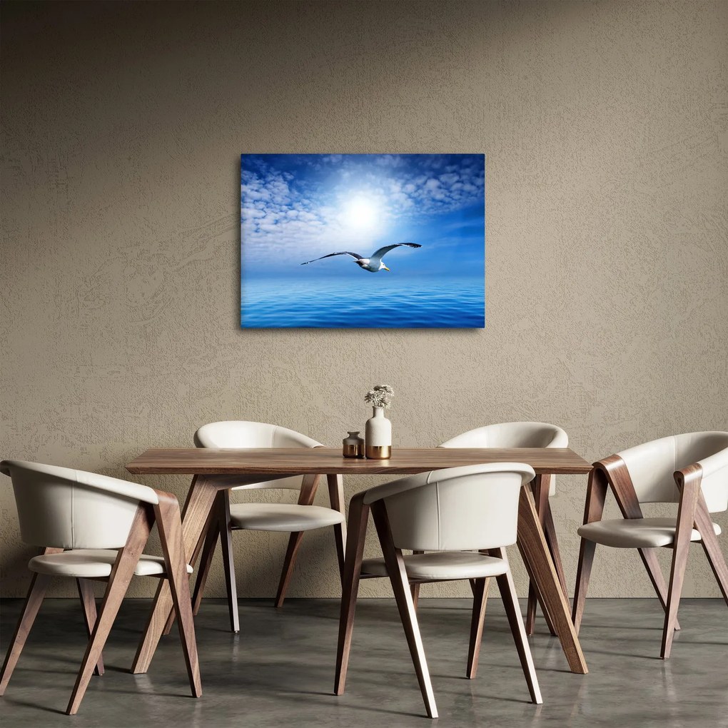 Obraz - Čajka nad morom (70x50 cm)
