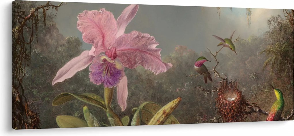 Obraz - Martin Johnson Heade, Cattleya Orchid and Three Hummingbirds, reprodukcia (120x50 cm)
