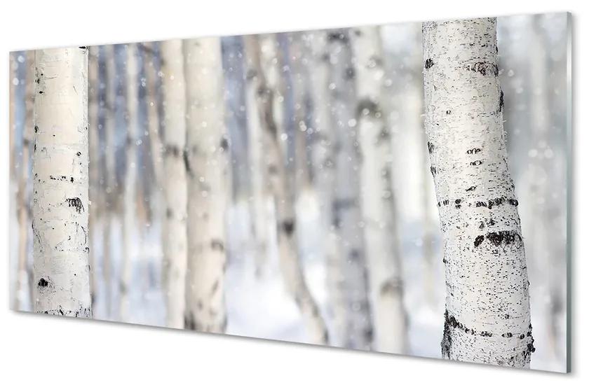 Obraz plexi Stromy v zime sneh 140x70 cm