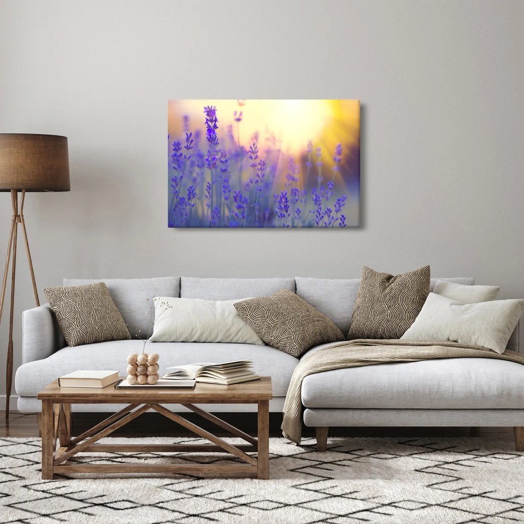 Obraz - Levanduľa (90x60 cm)