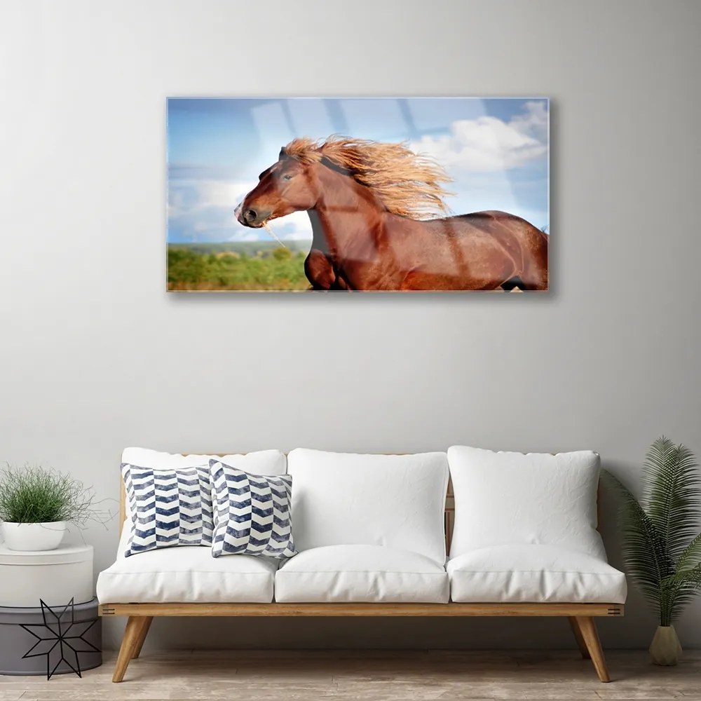 Obraz na skle Kôň zvieratá 120x60 cm