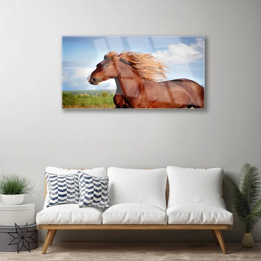 Obraz na skle Kôň zvieratá 125x50 cm