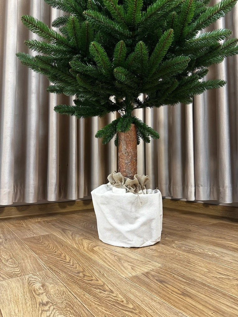 Jedľa Karpatská na pni 220cm