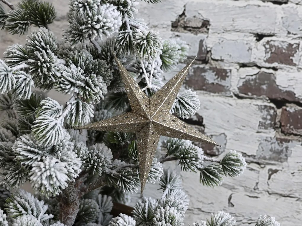 Champagne papierová hviezda Vintage s glitrami - 13 cm