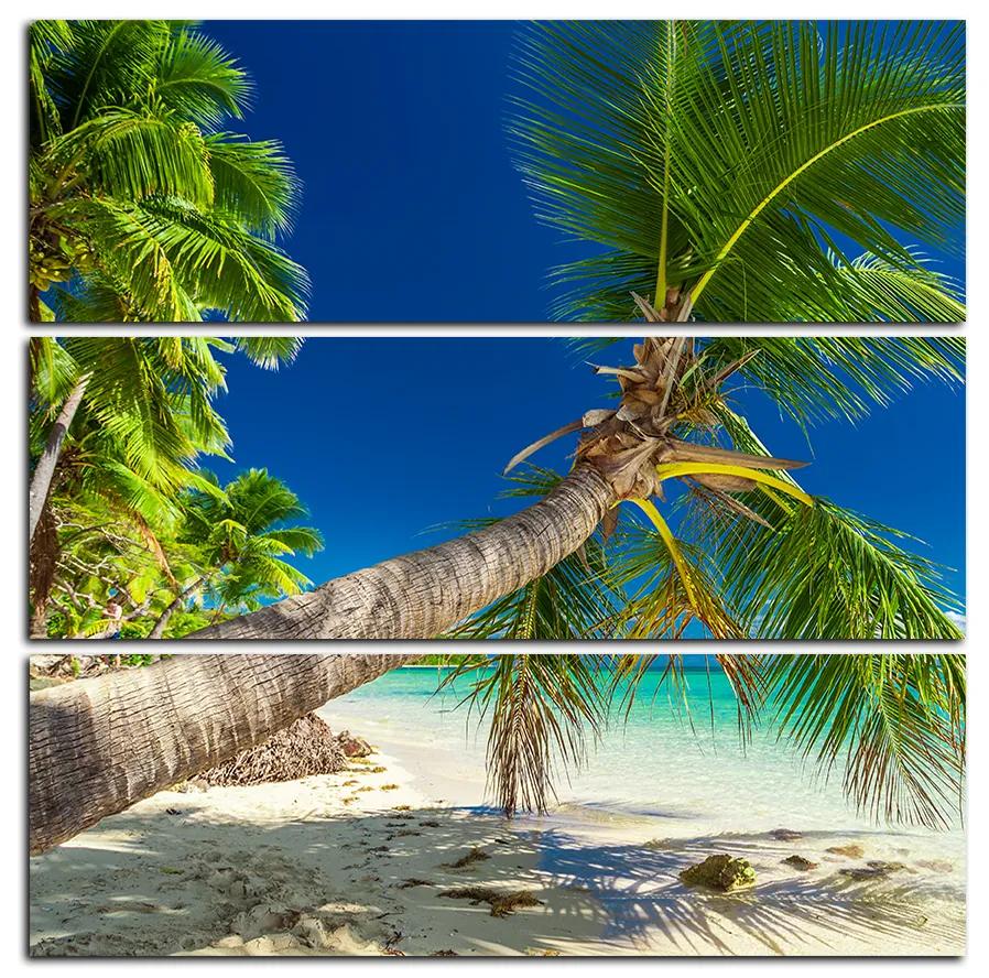 Obraz na plátne - Pláž s palmami - štvorec 384C (75x75 cm)