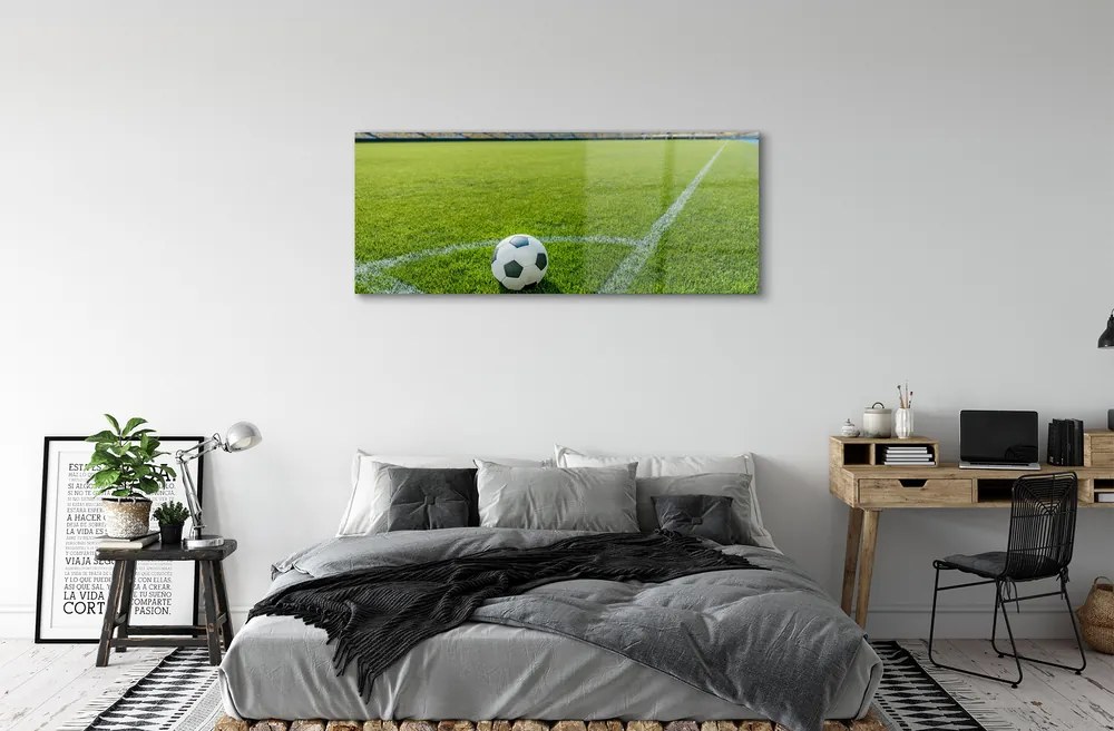 Obraz plexi Futbalový štadión trávy 120x60 cm
