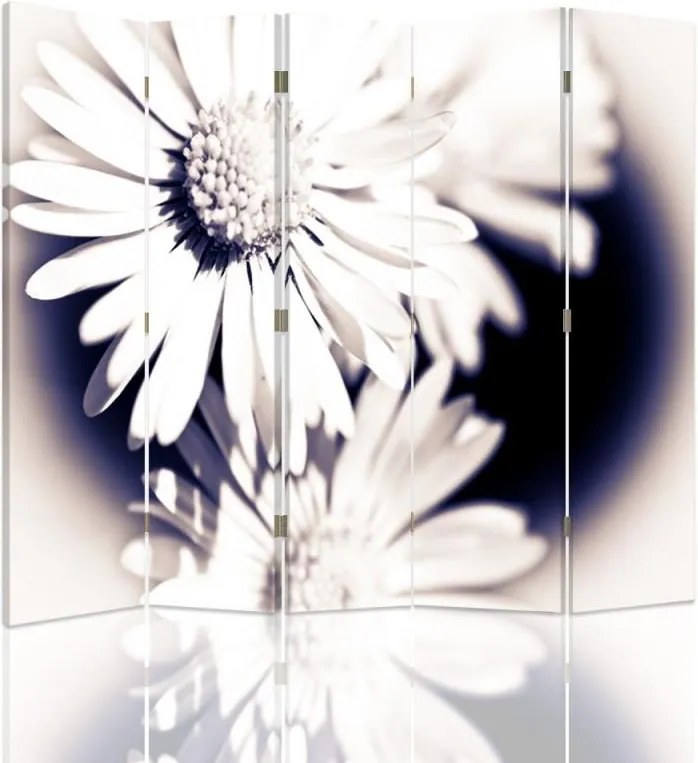 CARO Paraván - Flowers In The Sun By R. Kulik | päťdielny | obojstranný 180x150 cm