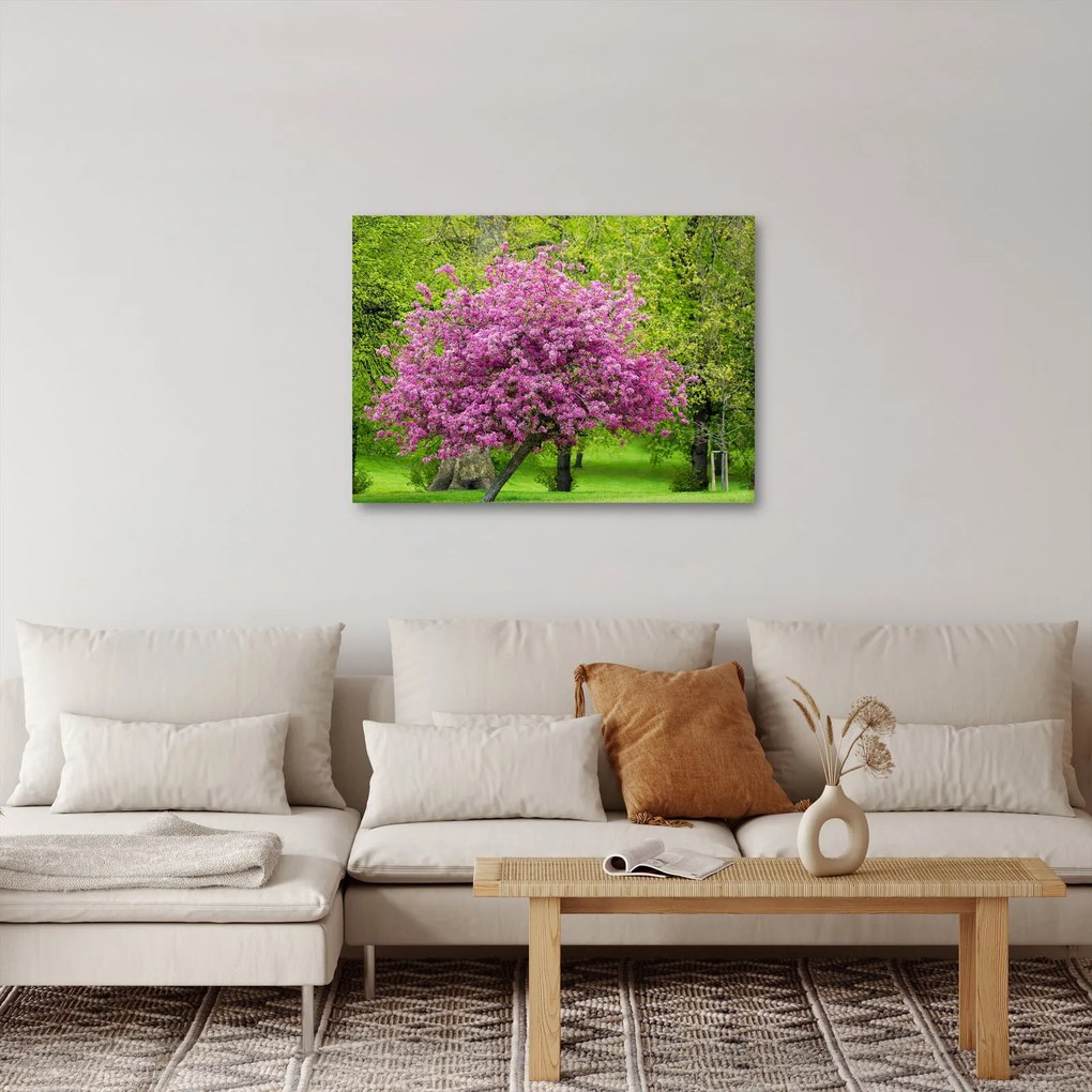 Obraz rozkvitnutého stromu na lúke (70x50 cm)
