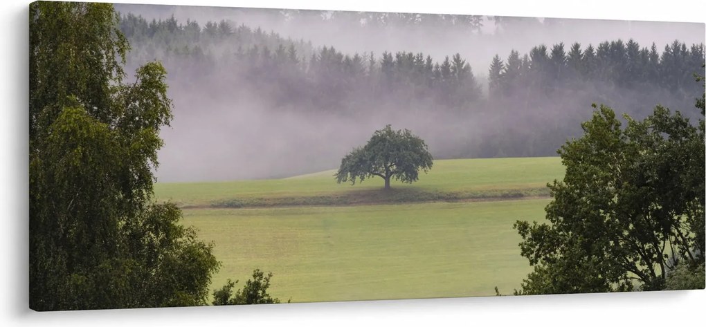 Obraz lúky so stromom (120x50 cm)
