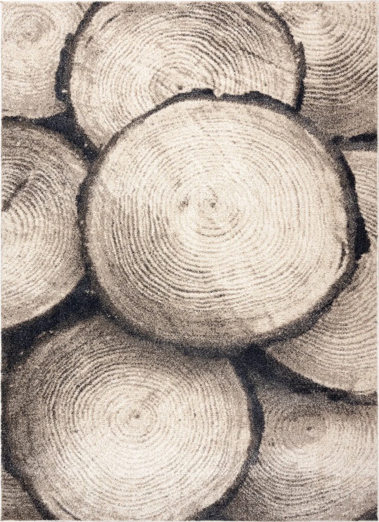 Dywany Łuszczów, Kusový koberec Fusion 9612 cream/beige, 200x290, béžová, kancelária