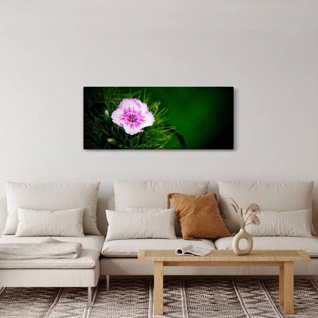 Obraz ružového kvetu (120x50 cm)