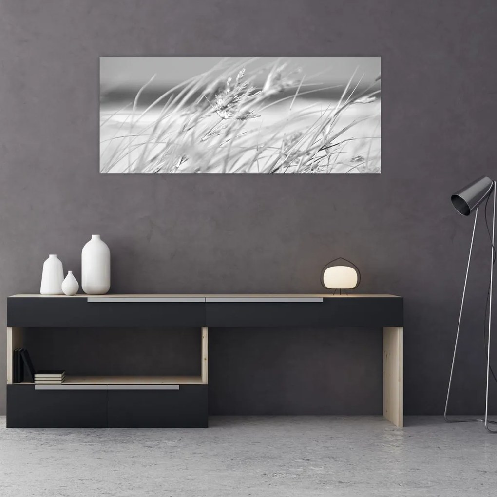 Obraz - Plážová tráva (120x50 cm)
