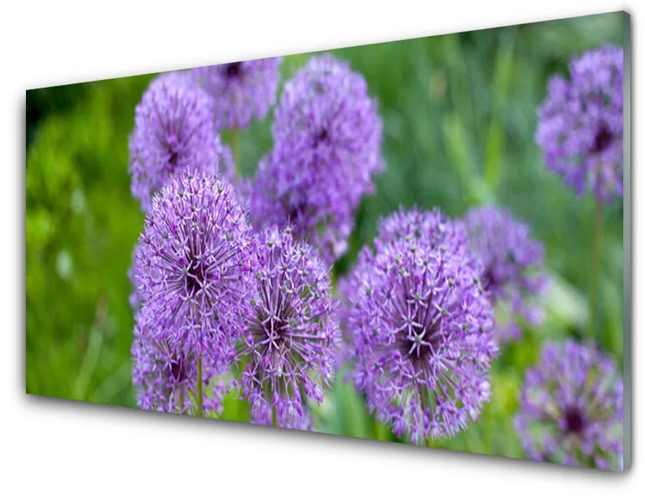 Skleneny obraz Fialové kvety lúka 100x50 cm