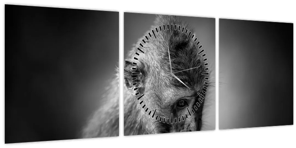 Obraz - Opička (s hodinami) (90x30 cm)