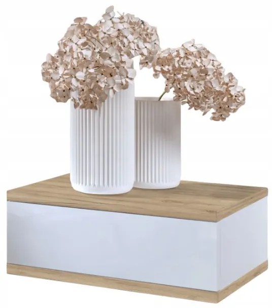 Nočný stolík LOFT - dub craft zlatý/biely