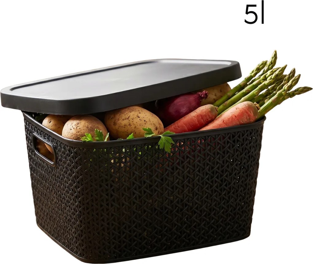 Multifunkčný kôš s vekom, úložný box s vekom 5,5l ALTOM - čierny